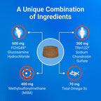 Nutramax Laboratories maximum strength cosequin chews with omega three for skin health