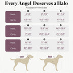Muffin's Halo blind dog harness integrated metal leash ring feature