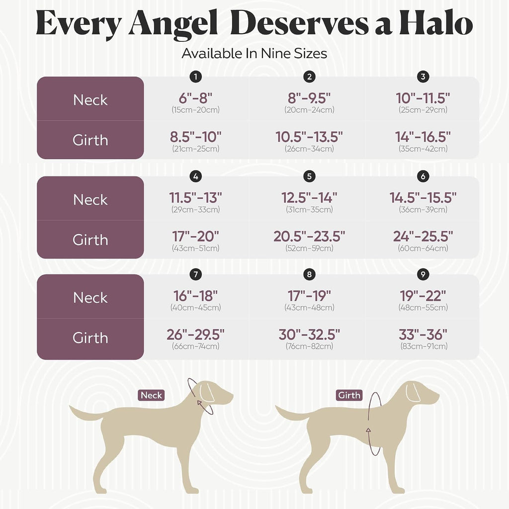 Detachable halo wing component for blind dog guide