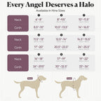 Detachable halo wing component for blind dog guide