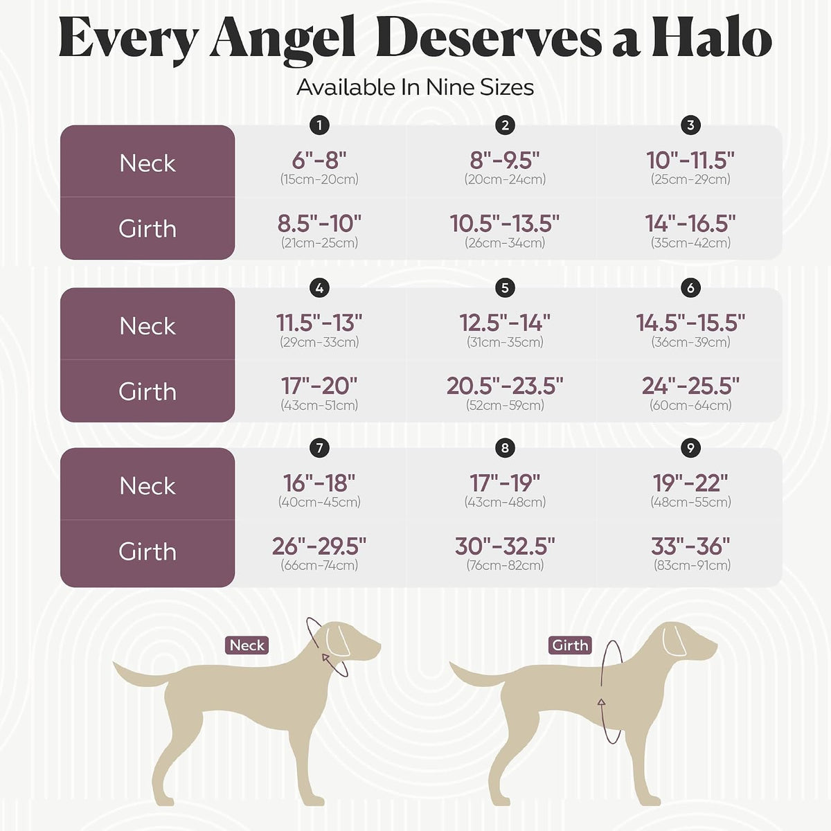 Detachable halo wing component for blind dog guide