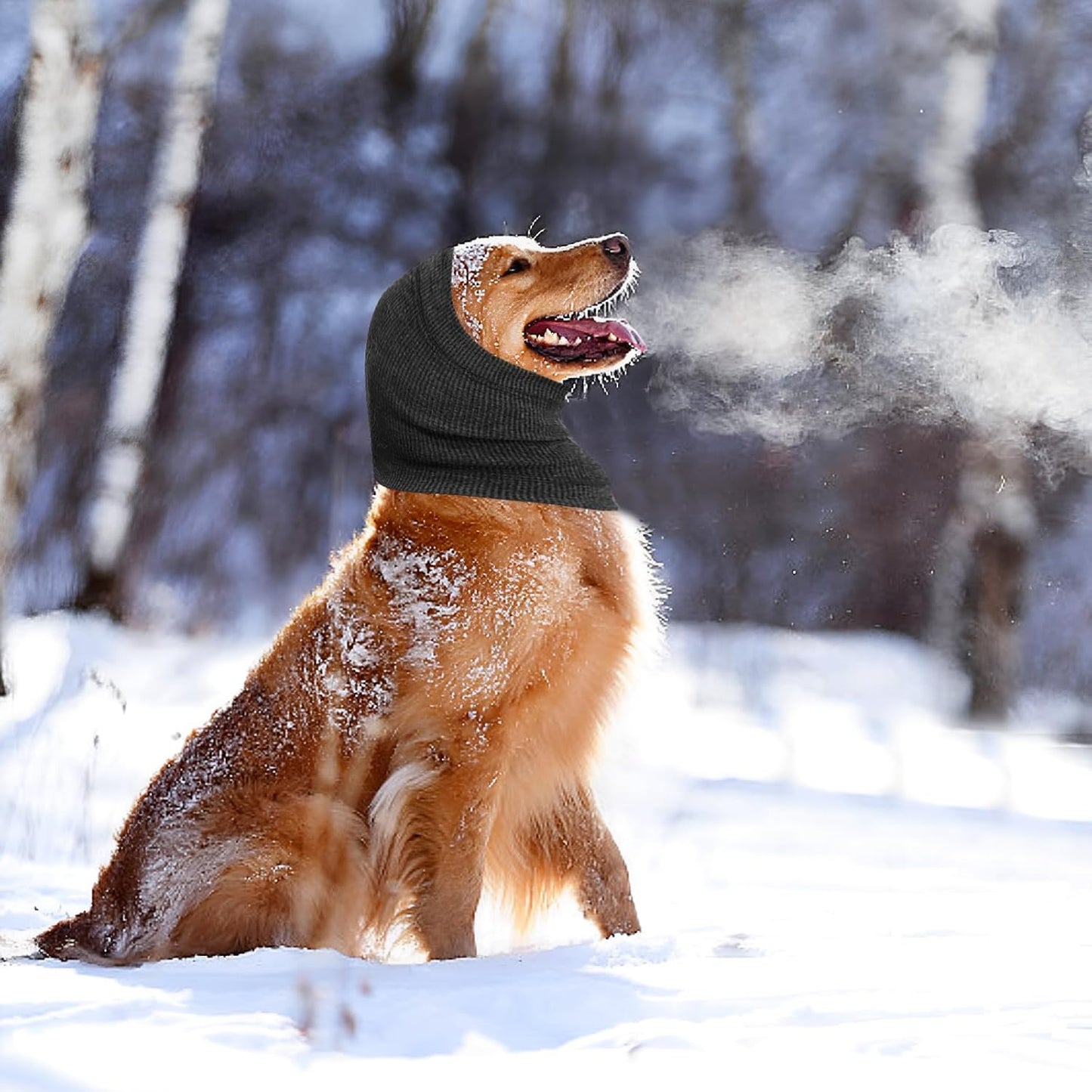High elasticity pet hood cover showing close-up fabric texture