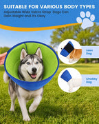 Side profile of dog wearing soft recovery cone