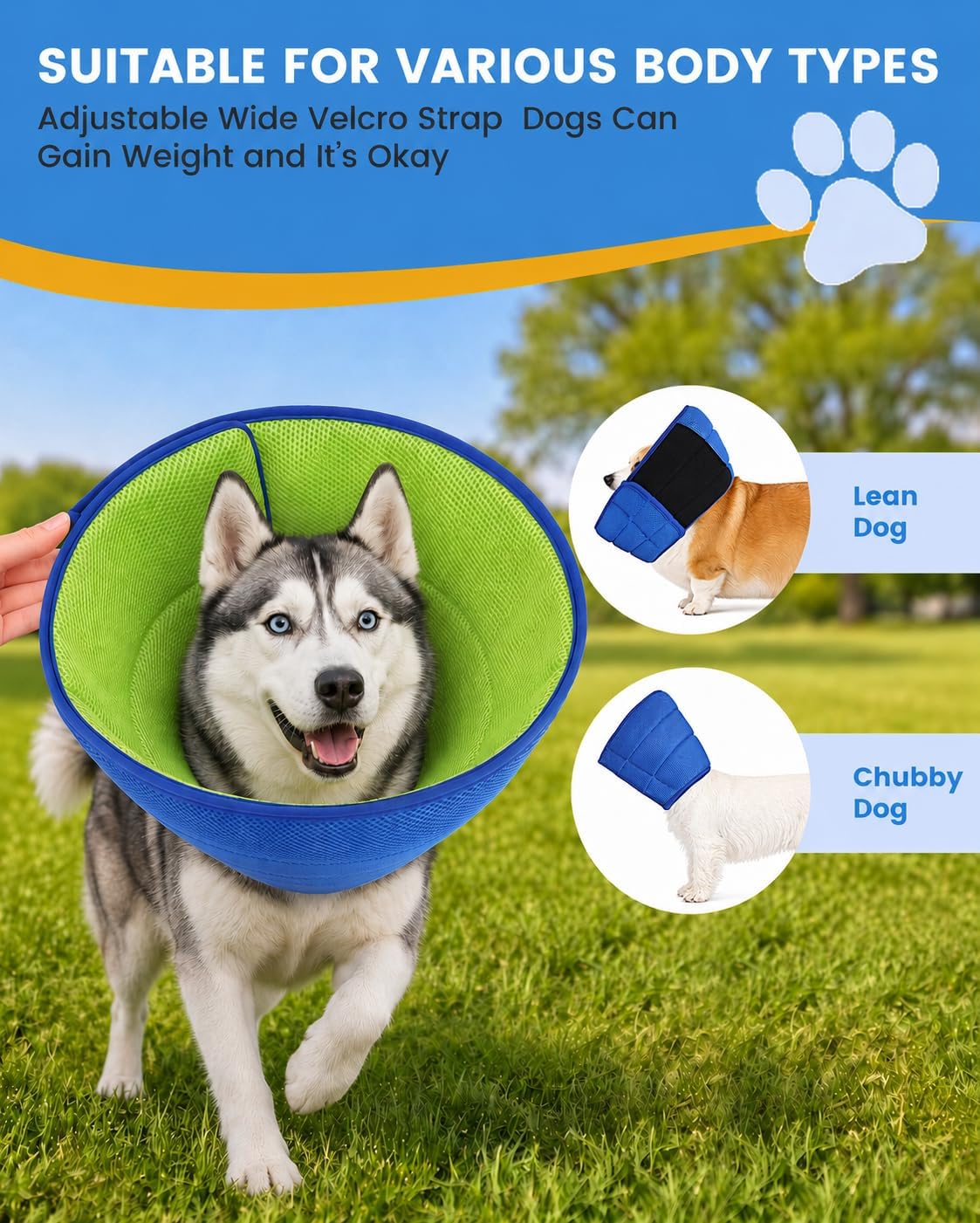 Side profile of dog wearing soft recovery cone