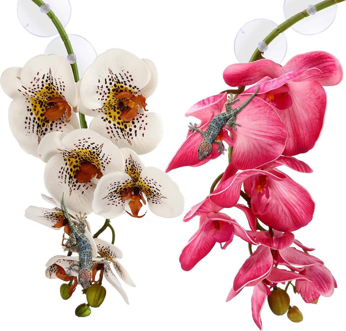 Chuangdi 2 Pieces Artificial Phalaenopsis with Suction Cups Terrarium Plant Decoration Reptile Habitat Plant Decor for Hermit Crab Lizards Geckos Snake Reptile (Dark Pink, White Yellow) - Image 11