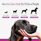 Nutritional facts panel for Pet Honesty dog vitamins