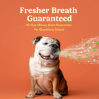 Side angle of the Jasper pet tooth brushing system designed for bad breath reduction.