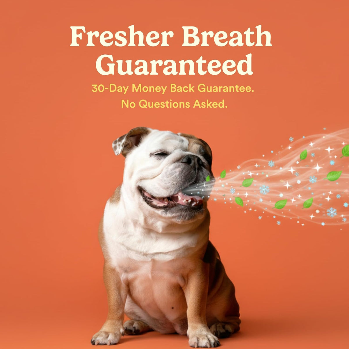 Side angle of the Jasper pet tooth brushing system designed for bad breath reduction.