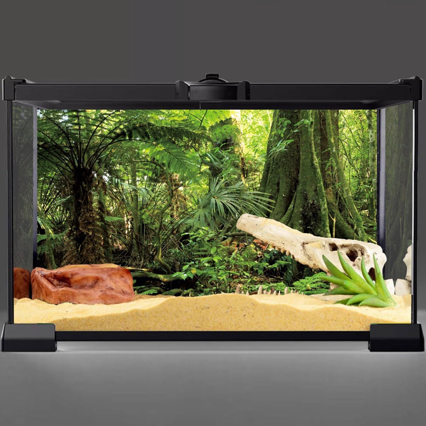 High definition reptile habitat backdrop with lush green ferns and giant roots.