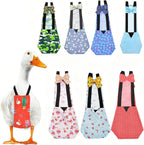 Qbleev poultry diaper lifestyle shot on pet duck