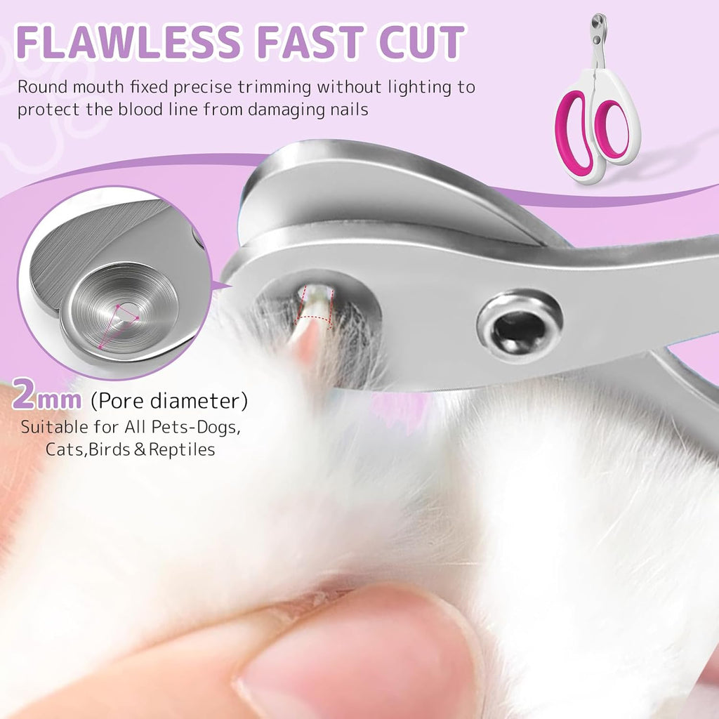 Cat being groomed with Petayouj steam deshedding tool