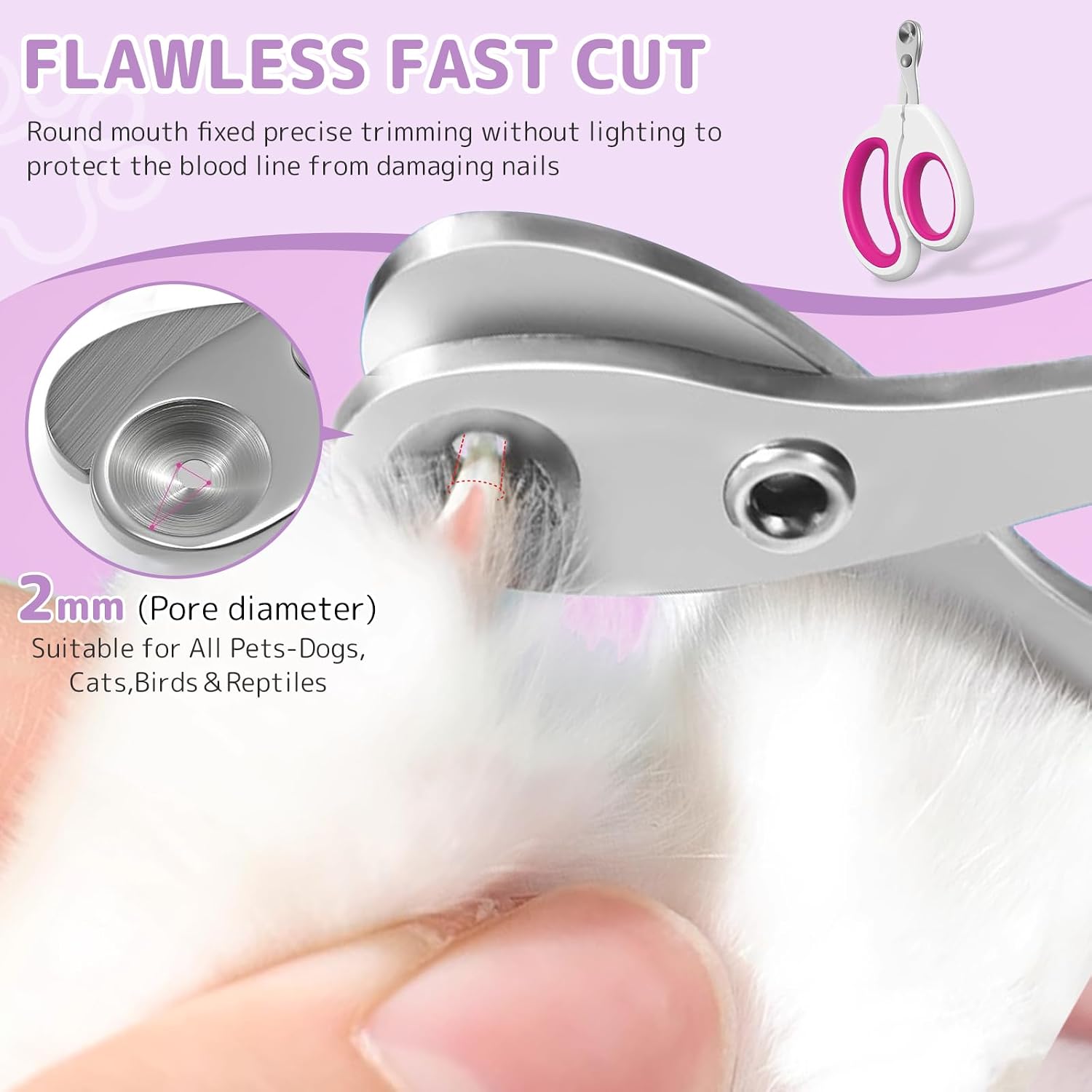 Cat being groomed with Petayouj steam deshedding tool