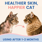 BestLife4Pets Pyrantalmax pills details showing safe formula for feral and stray cats
