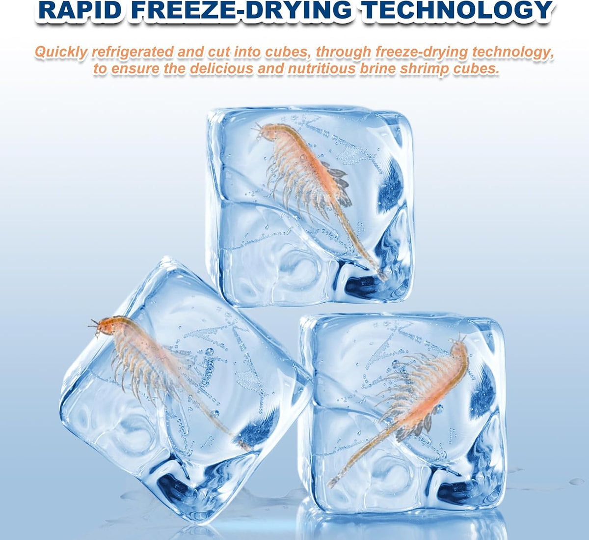 Capuca freeze dried shrimp cubes showing texture and compact size