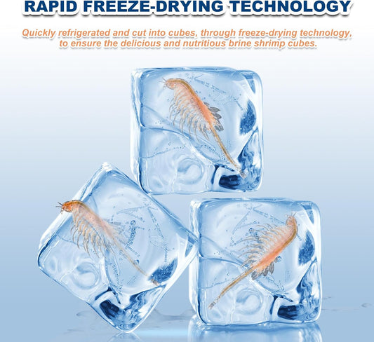 Capuca freeze dried shrimp cubes showing texture and compact size