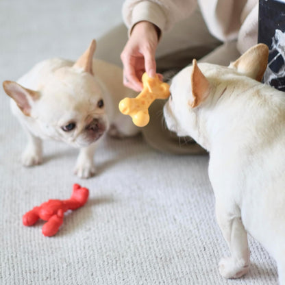 Nylabone Lobster Power Chew Toy for Dogs, Dog Toys for Aggressive Chewers, Filet Mignon Flavor, Small Dogs - Up to 25 Ibs, 1 Count - Image 10