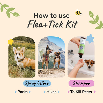 Kin+kind premium natural pet care kit containing two twelve fluid ounce bottles