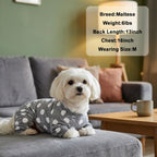 Back view of Axxlern dog onesie showing comfortable fit