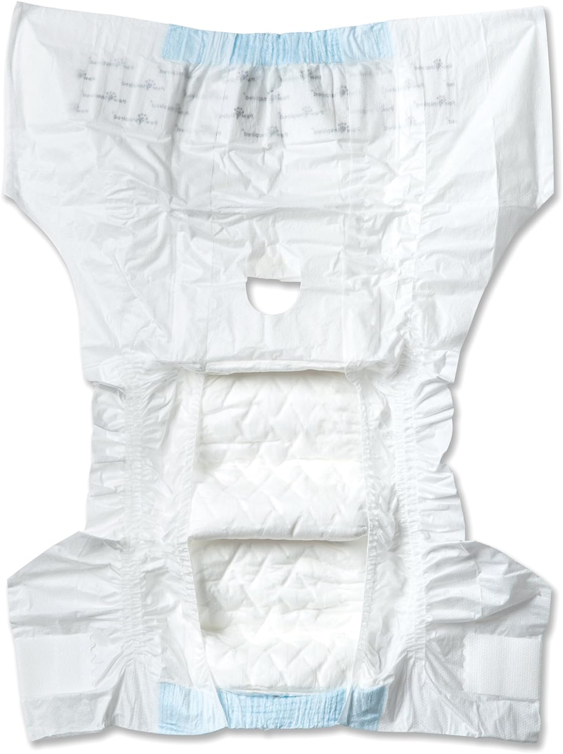 Female dog wearing Paw Inspired disposable diaper for heat cycle
