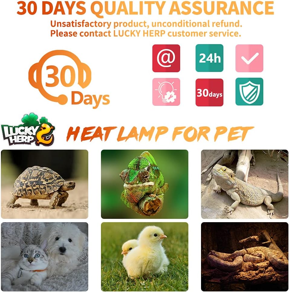 Two pack of black ceramic heat lamps for nocturnal reptile warming