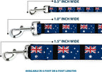 Buckle-Down 6 foot pet leash full length display