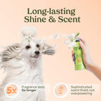 Paw Fume alcohol free dog conditioning and detangling spray bottle graphic