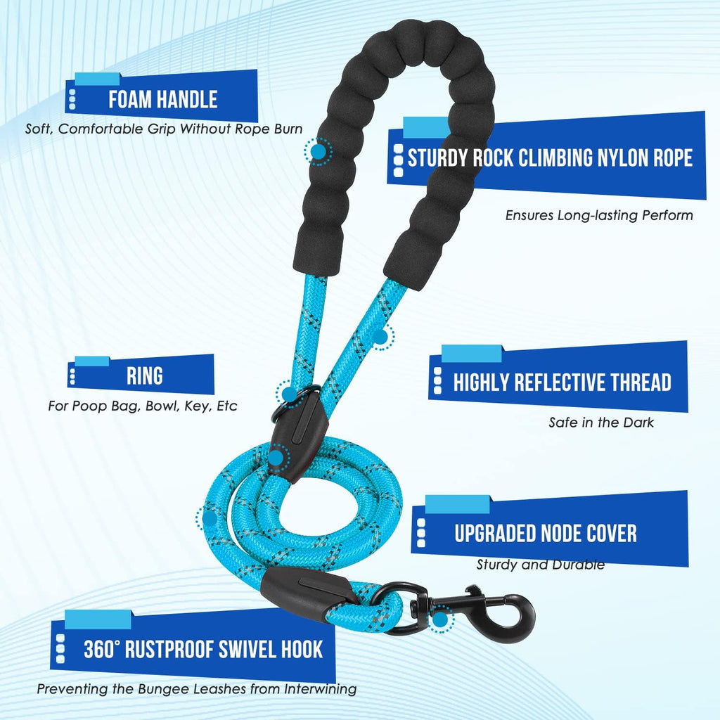 Shock absorbing bungee sections of Lukovee double dog leash extending for pull resistance.