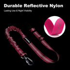 Reflective nylon dog car restraint strap