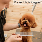 Three piece pet grooming kit in packaging