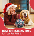 Dog playing with QDAN soccer ball using nylon tug straps