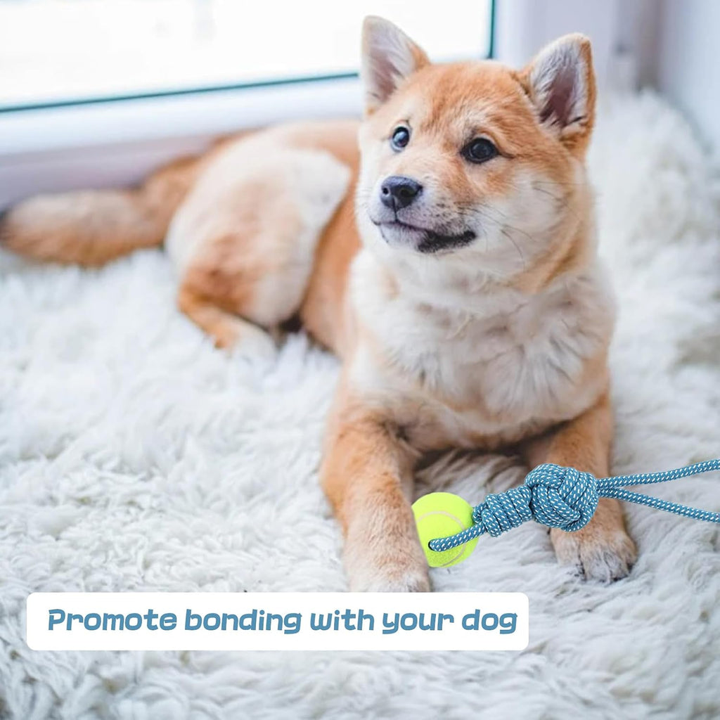 Erhalithegro small breed puppy teething toy showcasing its dental cleaning texture.