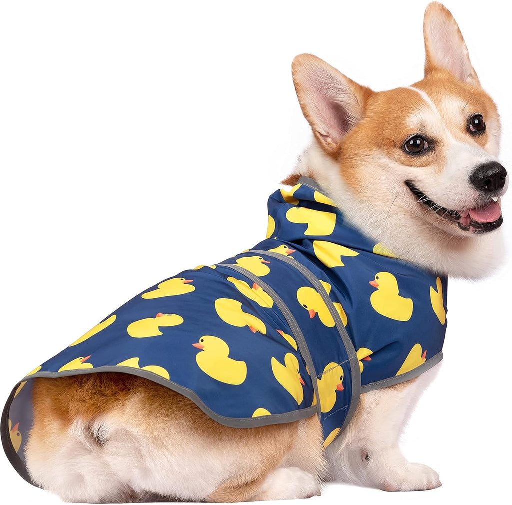 Side profile of a puppy wearing the Happiere adjustable hooded slicker jacket.
