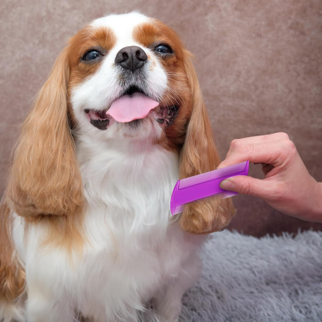 Assorted vibrant colored Pumtus flea combs safe for kittens and rabbits.