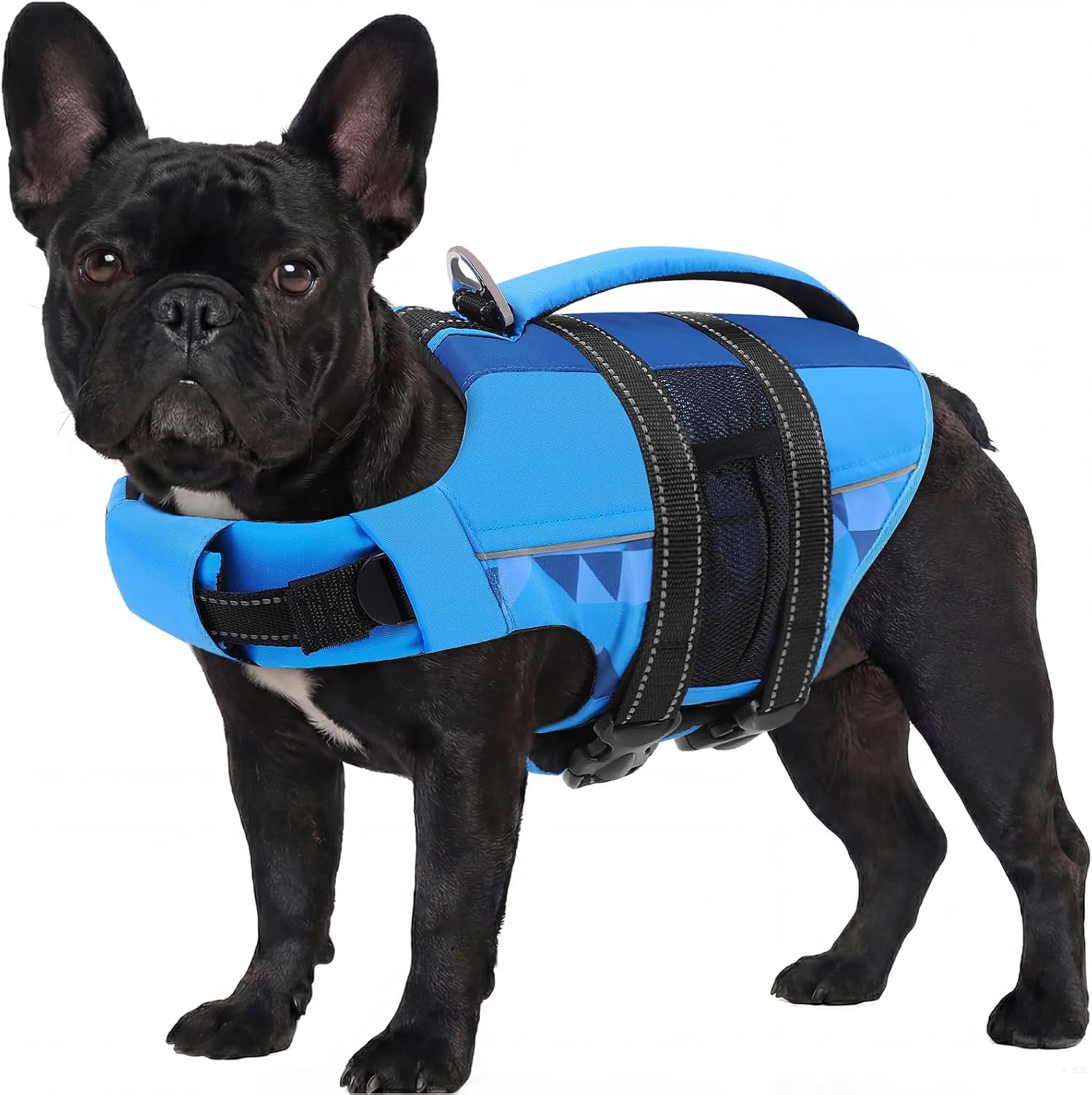 ASENKU Dog Life Jacket with Reflective Stripes, Adjustable High Flotation Dog Safety Vest, Ripstop Pet Lifesaver for Swimming Boating, Lightweight Life Preserver for Large Dogs (Blue, XL) - Image 10