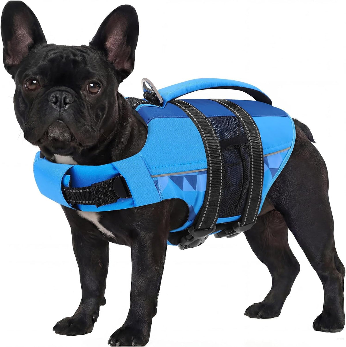 ASENKU Dog Life Jacket with Reflective Stripes, Adjustable High Flotation Dog Safety Vest, Ripstop Pet Lifesaver for Swimming Boating, Lightweight Life Preserver for Large Dogs (Blue, XL) - Image 10
