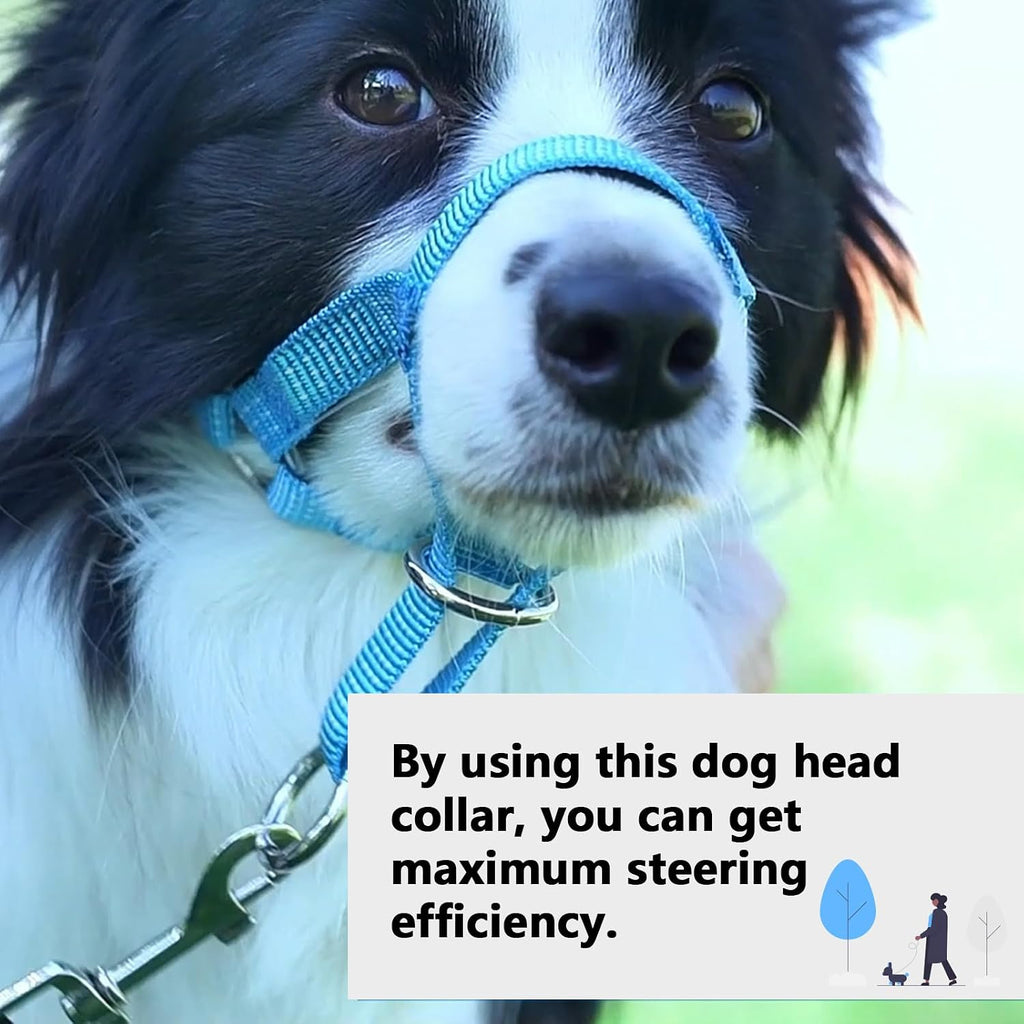 Side profile of Wintchuk blue dog head collar on pet