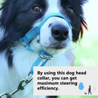 Side profile of Wintchuk blue dog head collar on pet