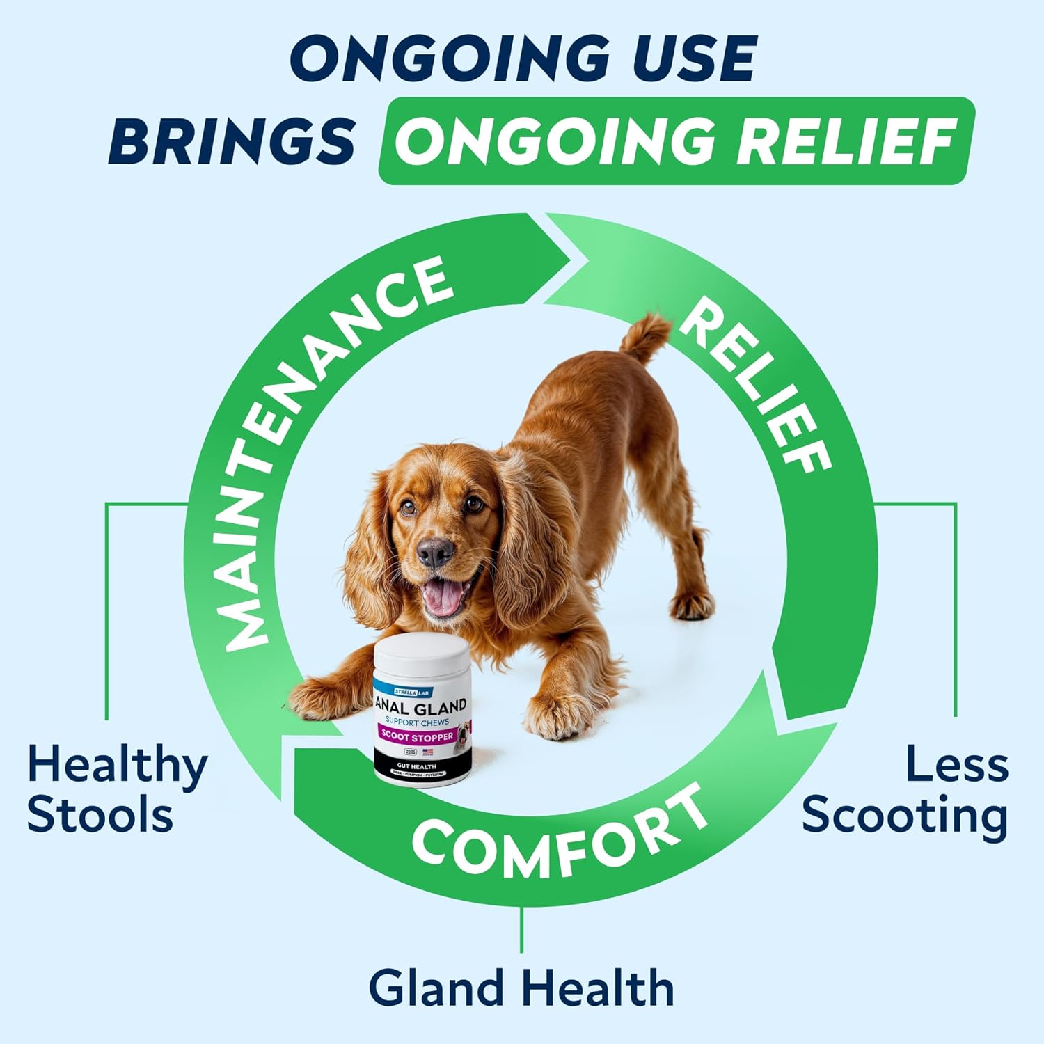 STRELLALAB pumpkin and psyllium husk supplement to relieve canine floor dragging