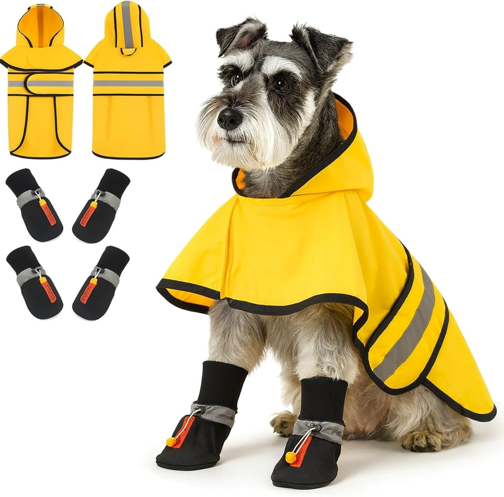 Sunnymove dog raincoat and shoes set front view on a small dog.