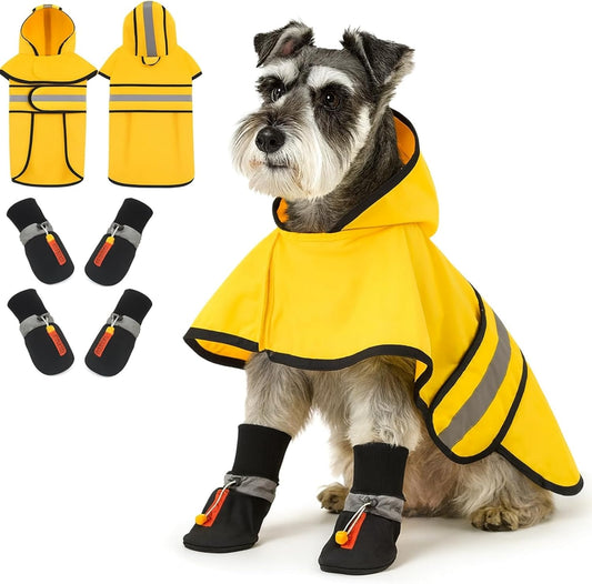 Sunnymove dog raincoat and shoes set front view on a small dog.