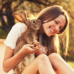 Close up of Sherwood Pet Health papaya tablets for rabbits