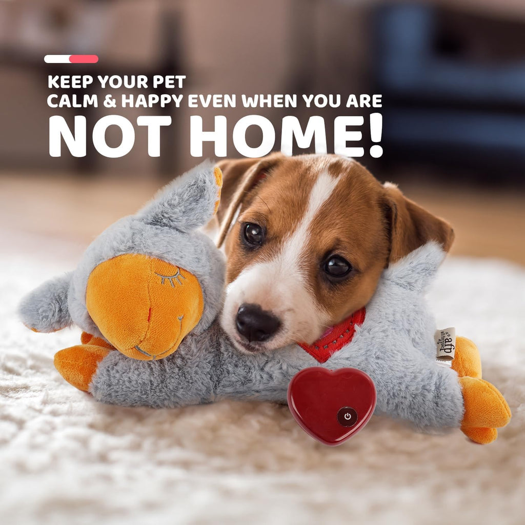 Detachable heartbeat simulator for All For Paws dog toy