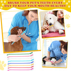 Nuogo toothbrush being used for cat dental care