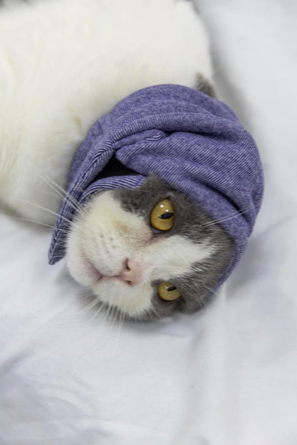 Cat Hematoma Ear Wrap,Noise Cancelling Calming Anxiety & Stress Relief - Ear Cover for cat Purple S - Image 9