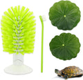 TURAOHU turtle shell cleaning brush set front view showing the green back scrubber and suction cup base.
