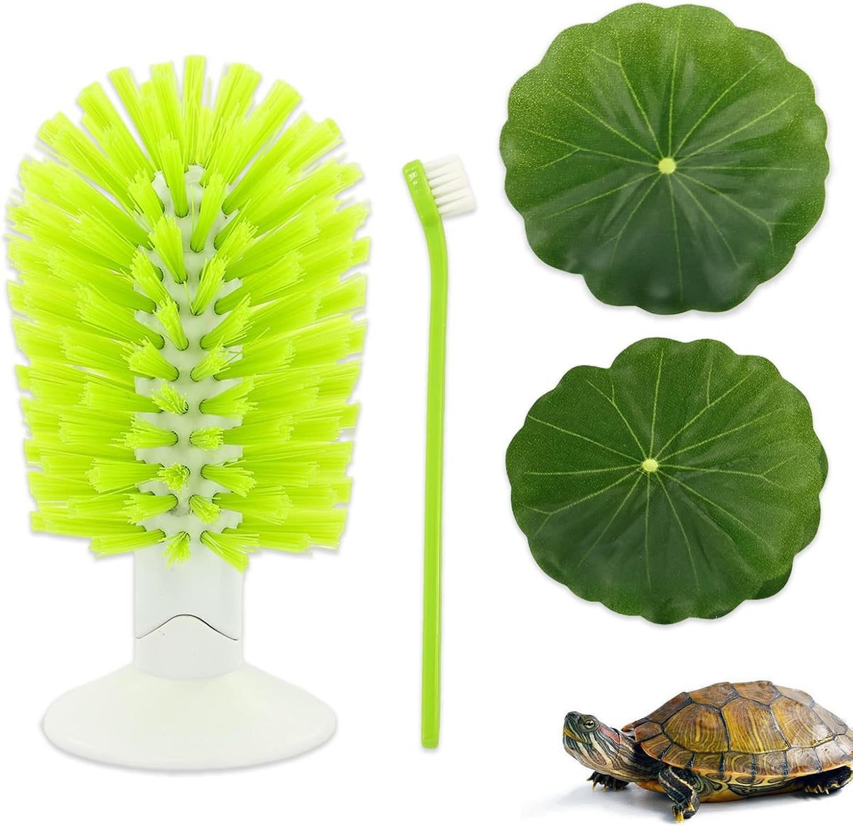 TURAOHU turtle shell cleaning brush set front view showing the green back scrubber and suction cup base.