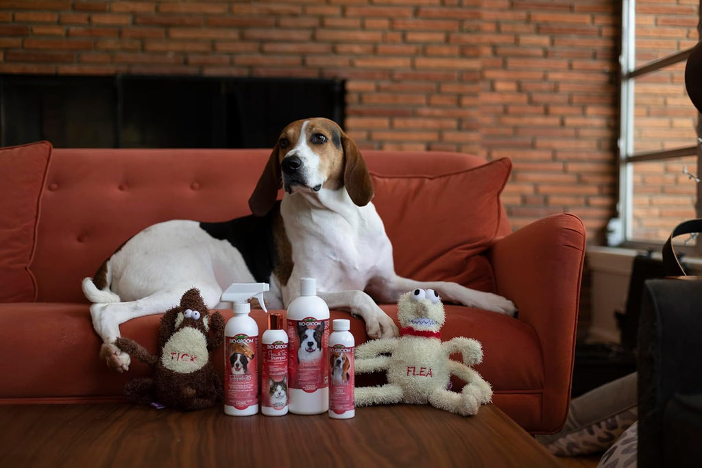 Bio-Groom professional tear free pet shampoo for dogs and cats