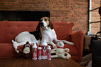 Bio-Groom professional tear free pet shampoo for dogs and cats