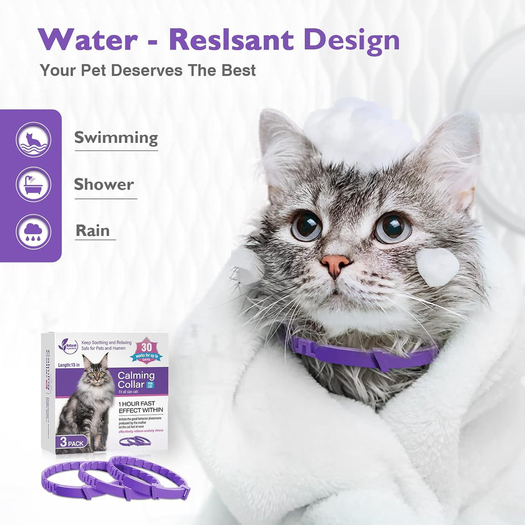 Waterproof lavender and chamomile infused pet collar being worn by a relaxed domestic cat