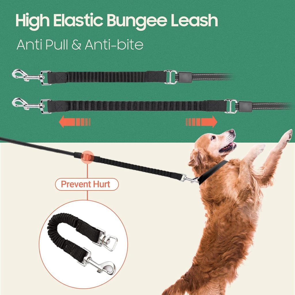 Close up of Happy and Polly leash bungee and reflective tape